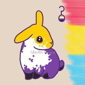 Meet your Posher, Kai